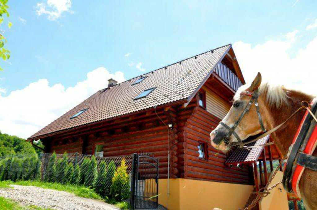 Drevenica Vyhne v prírodnom prostredí